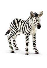 Zebra Potrillo Schleich 14811