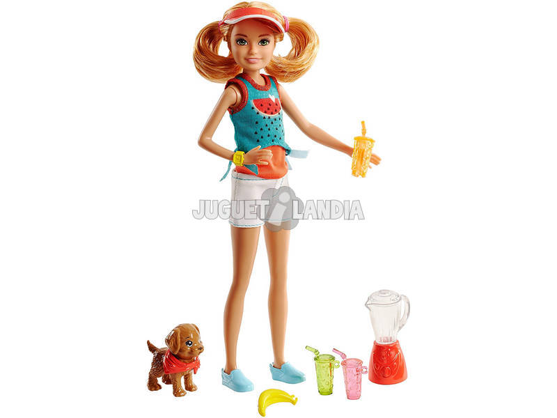 Hermanas Barbie con Accesorios Mattel FHP61