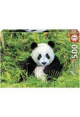 Puzzle 500 Oso Panda Educa 17082