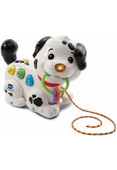 Chien Perruno