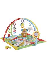Gym Learning Puppy 0-1 Jahre Fisher Price Mattel FBD48