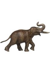 �l�phant Asiatique M�le