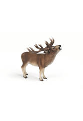Cerf Rouge