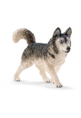 Husky