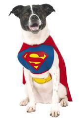 D�guisement mascotte Superman Taille M Rubies 887892-M