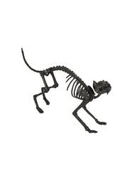 Schwarze Skelettkatze 57x25x11 cm.