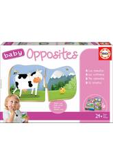 Baby Opposites Educa 18122