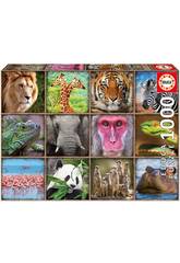 Puzzle 1000 Collage con Animali Selvatici Educa 17656