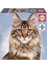 Puzzle Junior 100 Chat Maine Coon Educa 18805