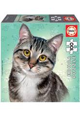 Puzzle Junior 100 Chat European Shorthair Educa 18808