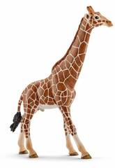 Giraffa Maschio Schleich 14749