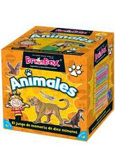 Brainbox Animals Asmodee TGG13403