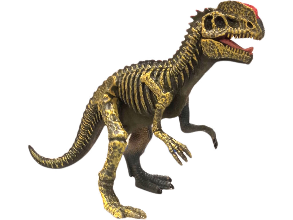 Dilophosaurus 20 cm.