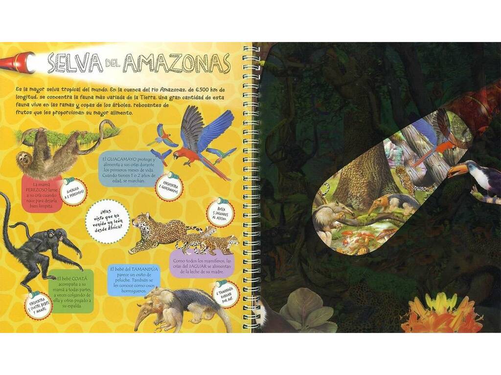 Libro Linterna Animales y Sus Crías Susaeta S3227008