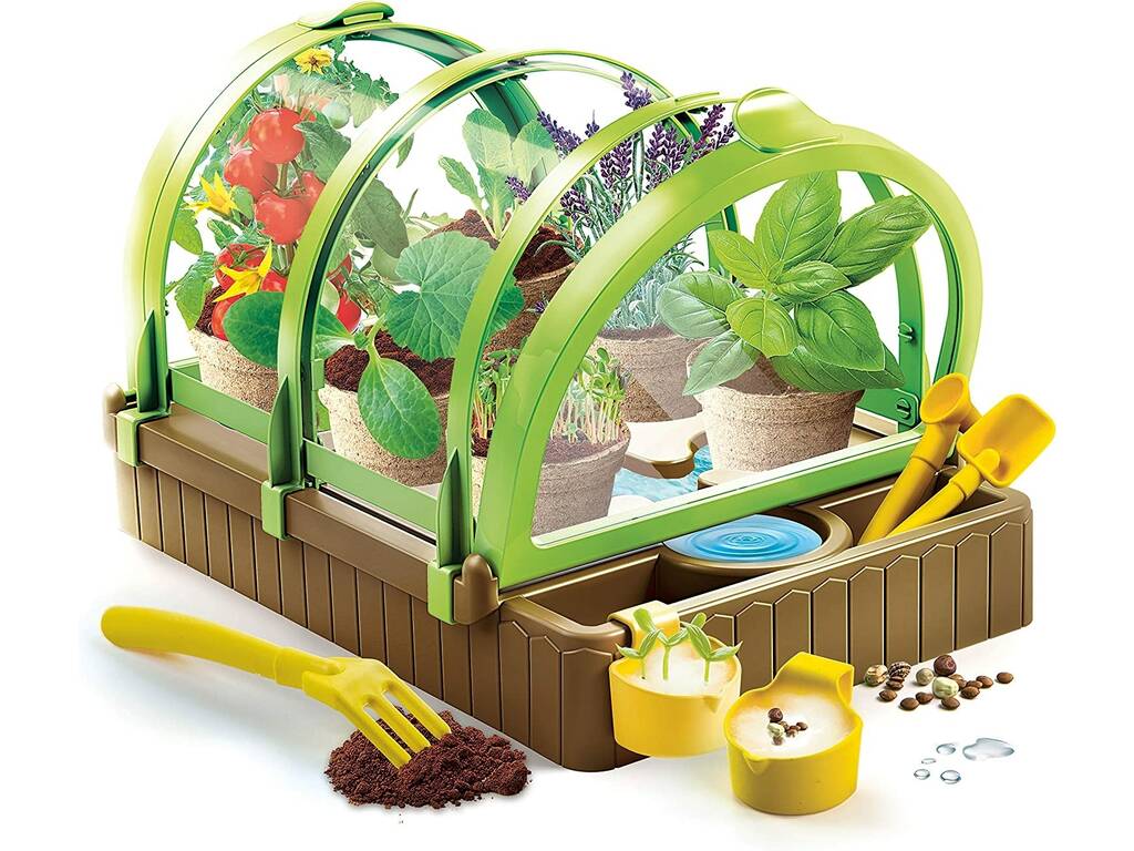 Eco Greenhouse Clementi 55423
