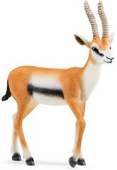 Wild Life Thomson Gazelle von Schleichh 14861