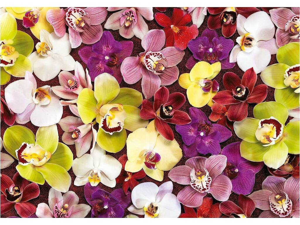 Puzzle 1000 Collage aus Orchideen Educa 19558