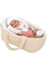 Poupée Elégance Babyto Rose 33 cm. avec nacelle Arias 60740