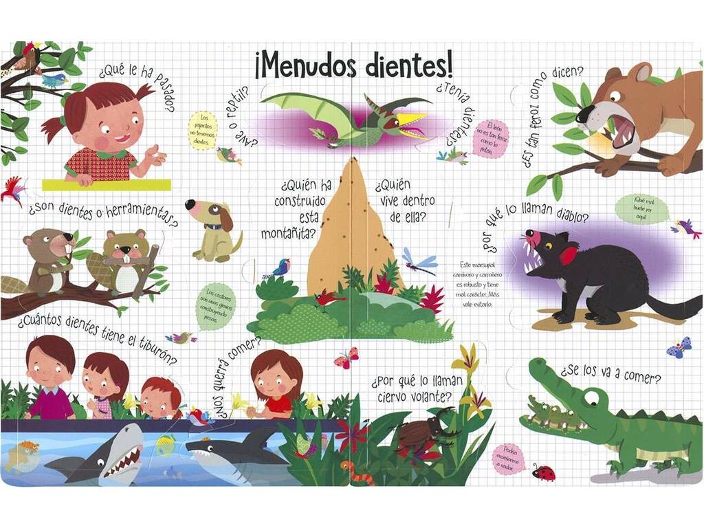 Livre Regarde et découvre Questions et réponses Animaux