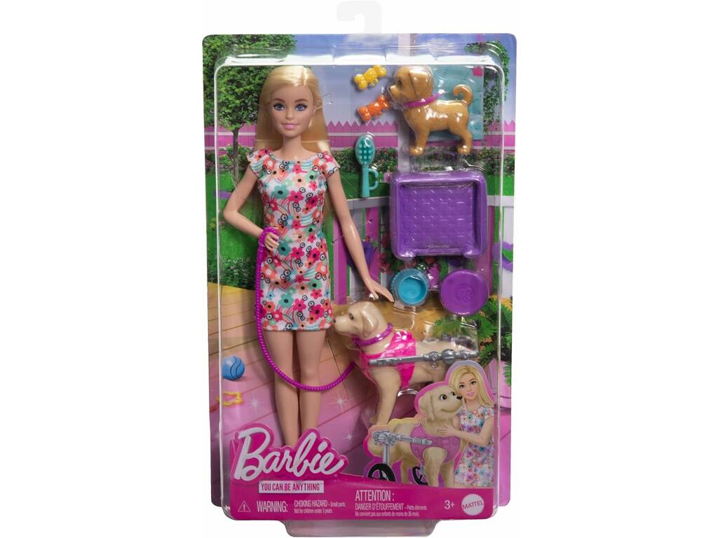 Barbie Dog Walker mit Mattel Rollstuhl HTK37