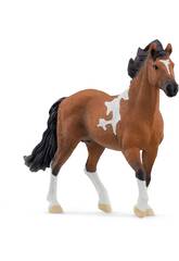 Horse Club Stallone Mangalarga Marchador di Schleich 13978