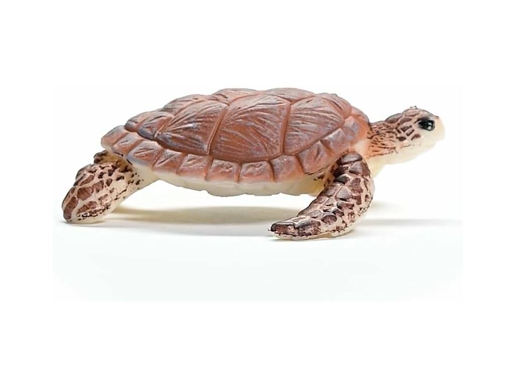 Vie sauvage Tortue de mer