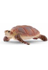 Vie sauvage Tortue de mer