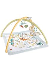 Gymnase pour enfants Fisher Price Awaken Your Senses Mattel HRB15