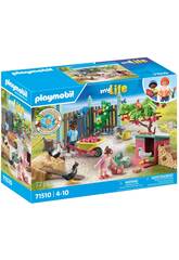 Playmobil My Life Galinheiro 71510