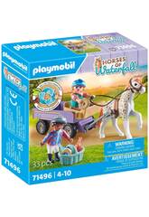 Playmobil Chevaux de la cascade avec poney 71496