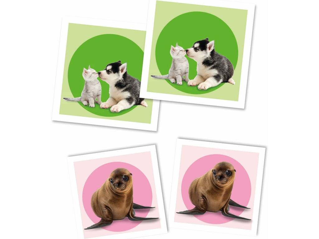 Mémo Animaux Bébés