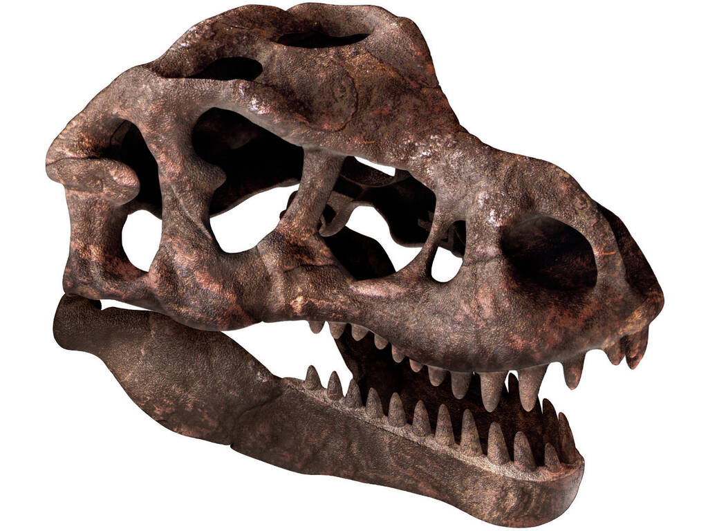 Wissenschaft und Spiel Archeoplaying Giant Skull T-Rex Clementoni 55545