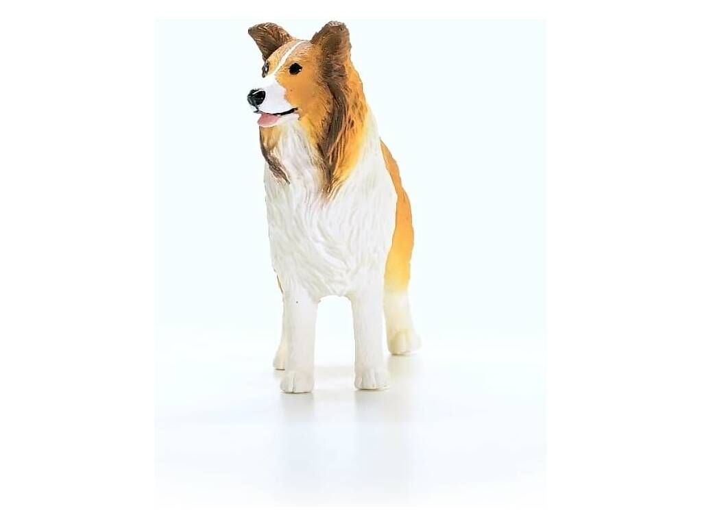 Collie du monde agricole