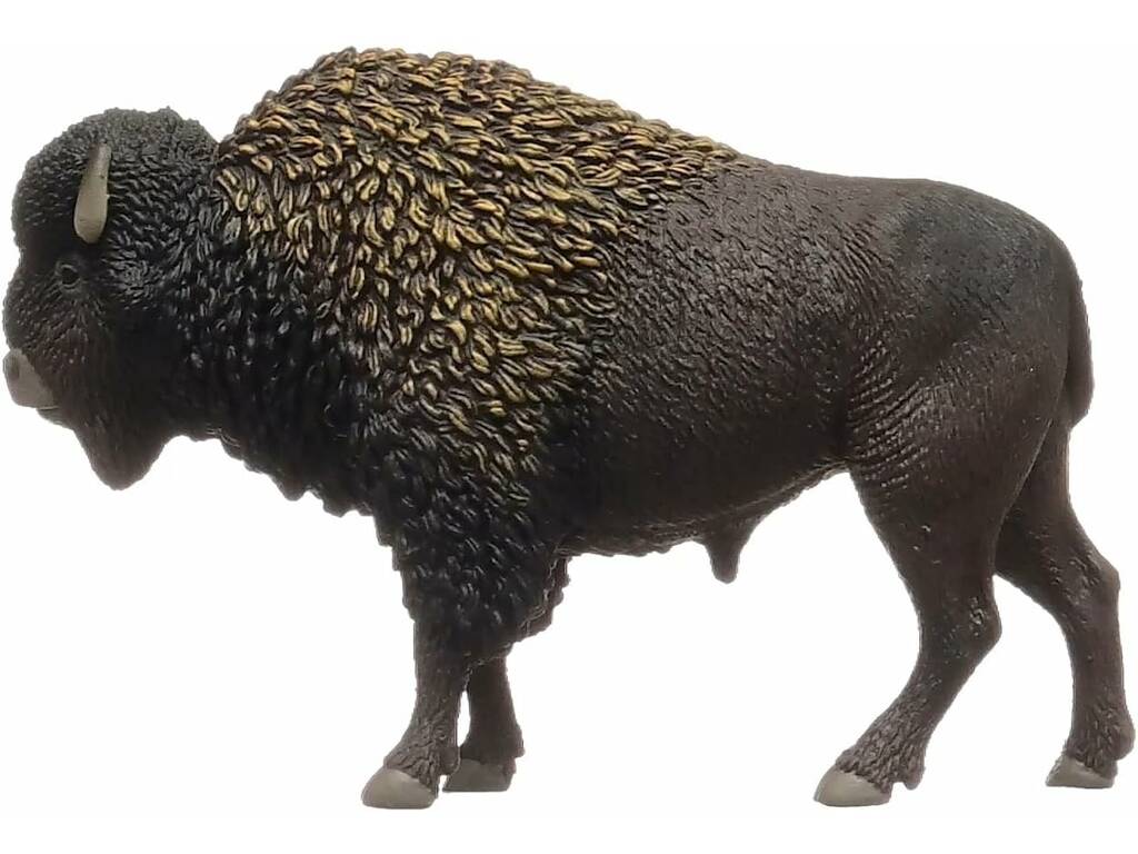 Vie sauvage Bison