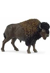 Vie sauvage Bison