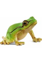 Wild Life Rana arboricola europea