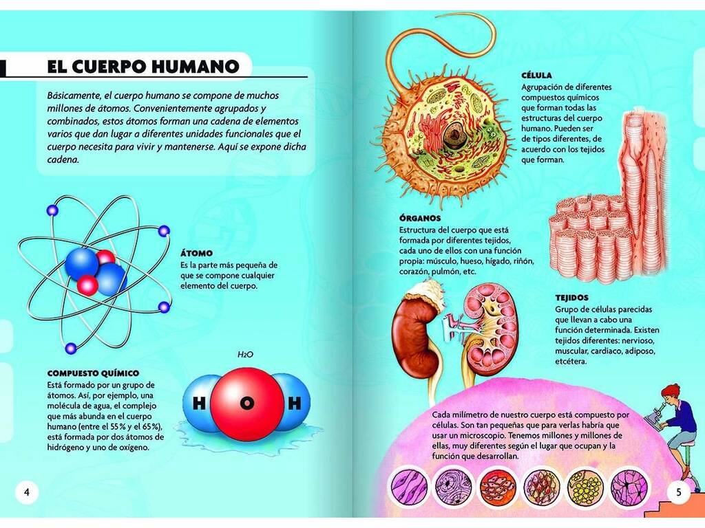 Livre I Découvrir et jouer le corps humain