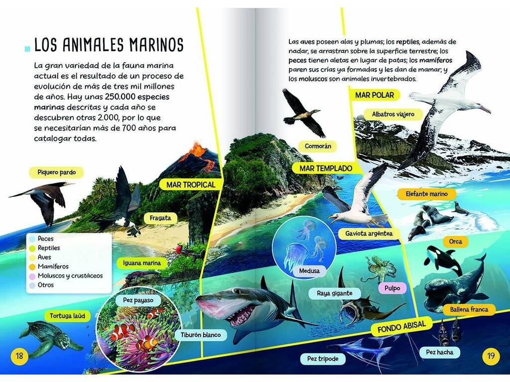 Livre Je Découvre et Joue avec les Animaux Marins