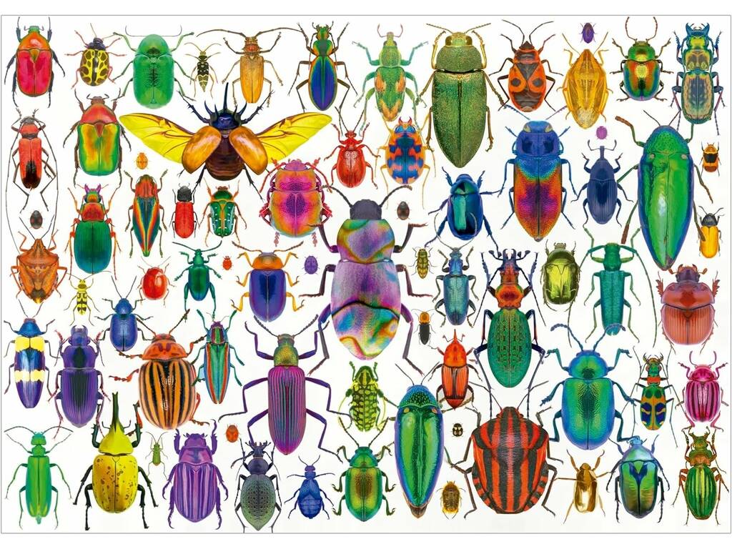 Puzzle 500 coléoptères