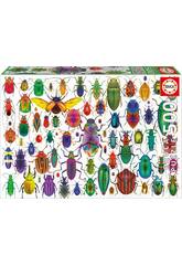 Puzzle 500 coloptres