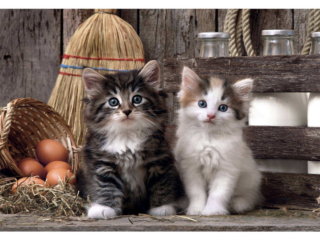 Puzzle 1000 chatons adorables