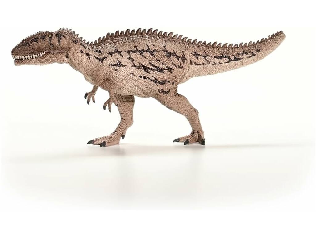 Dinosaure Carcharodontosaurus