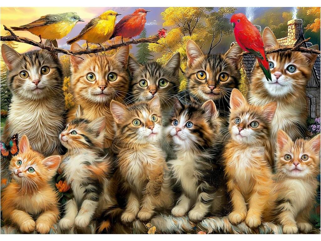 Puzzle 500 chatons et oiseaux