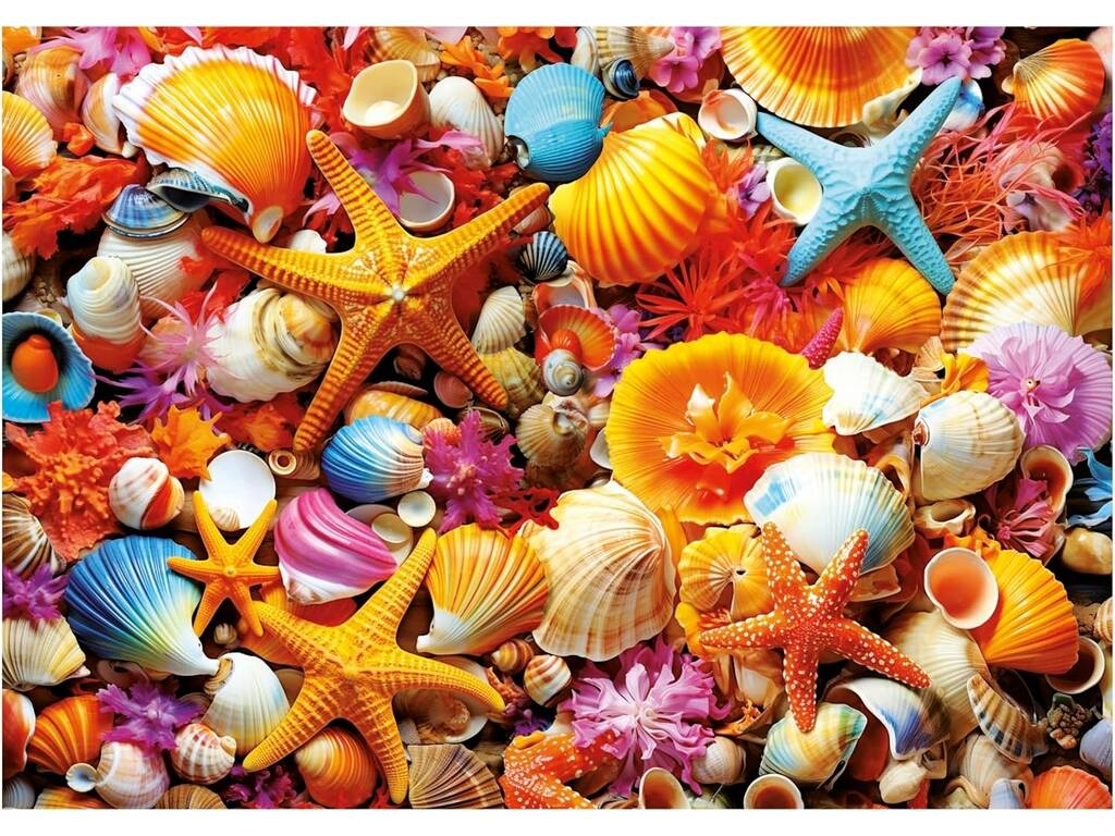 Puzzle 1000 Collage de coquillages