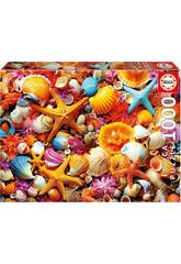 Puzzle 1000 Colagem de Conchas