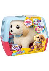 Little Live Pets Mascota Interactiva Ouchies Cooper