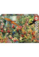 Puzzle 2000 Aves Del Amazonas