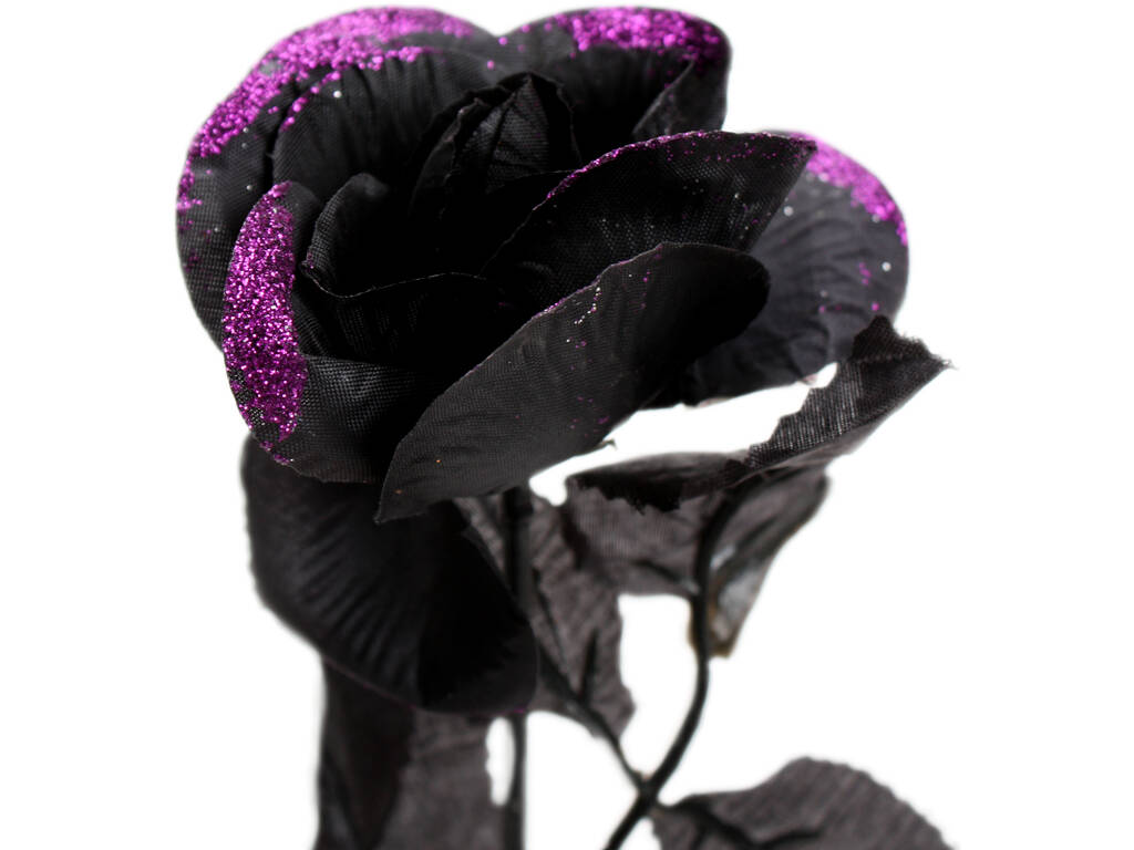 Schwarze Rose Purpur 41 cm.