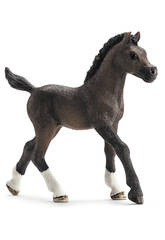 Cheval Arabe