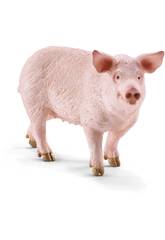 Porc